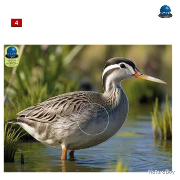 Blasons petits animaux 2 - Ai2M - 4