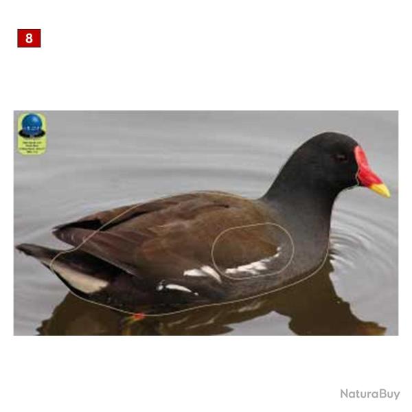 Blasons petits animaux 2 - Ai2M - 8