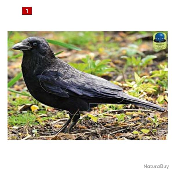 Blasons petits animaux 3 - Ai2M - 1