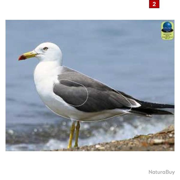 Blasons petits animaux 3 - Ai2M - 2