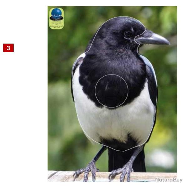 Blasons petits animaux 3 - Ai2M - 3