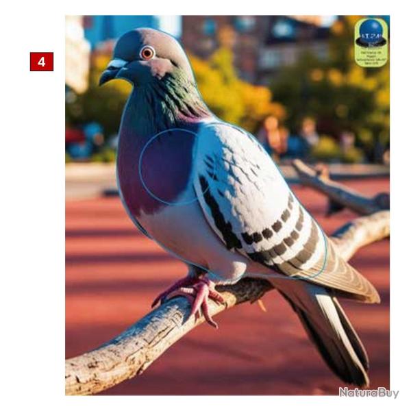 Blasons petits animaux 3 - Ai2M - 4