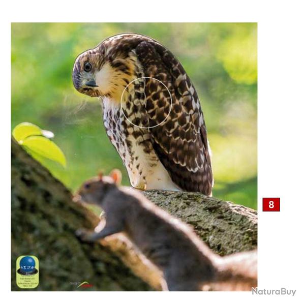 Blasons petits animaux 3 - Ai2M - 8