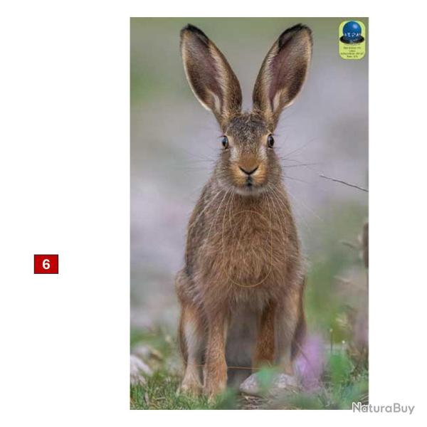 Blasons petits animaux 4 - Ai2M - 6