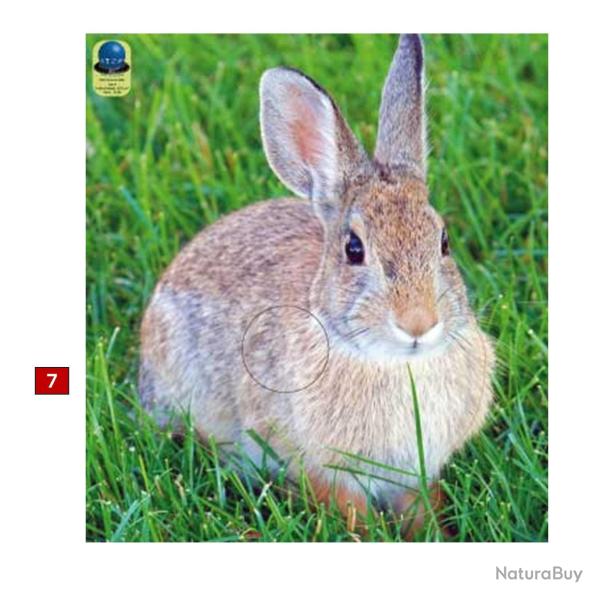 Blasons petits animaux 4 - Ai2M - 7