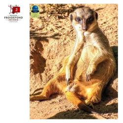 Blasons petits animaux 5 - Ai2M - 2