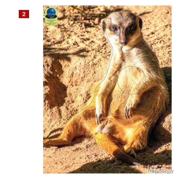 Blasons petits animaux 5 - Ai2M - 2