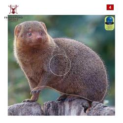 Blasons petits animaux 5 - Ai2M - 4
