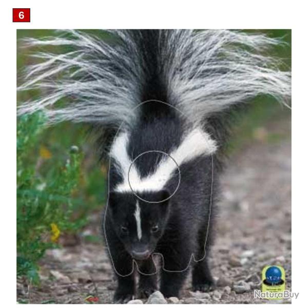 Blasons petits animaux 5 - Ai2M - 6