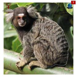 Blasons petits animaux 5 - Ai2M - 7