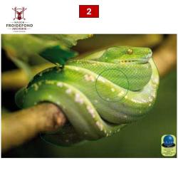 Blasons reptiles petits animaux - Ai2M - 2