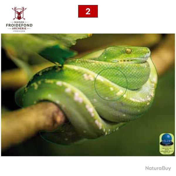 Blasons reptiles petits animaux - Ai2M - 2