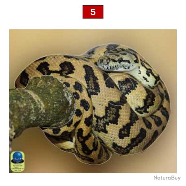 Blasons reptiles petits animaux - Ai2M - 5