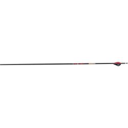 Fl&egrave;che Sanlida Dragon 10 carbone 6.2 (0.001) 300 32''