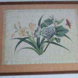 Peinture sur papier de riz Fleurs Insecte Chine
