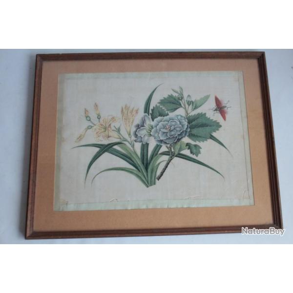 Peinture sur papier de riz Fleurs Insecte Chine