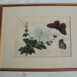 Peinture sur papier de riz Chrysanthème Papillons Libellule Chine