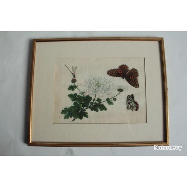 Peinture sur papier de riz Chrysanth�me Papillons Libellule Chine