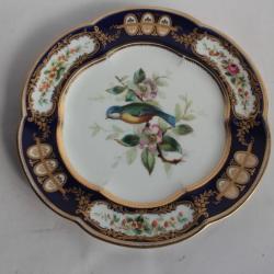 Assiette porcelaine oiseau mésange Royal Crown Derby