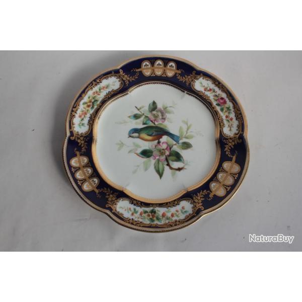 Assiette porcelaine oiseau msange Royal Crown Derby
