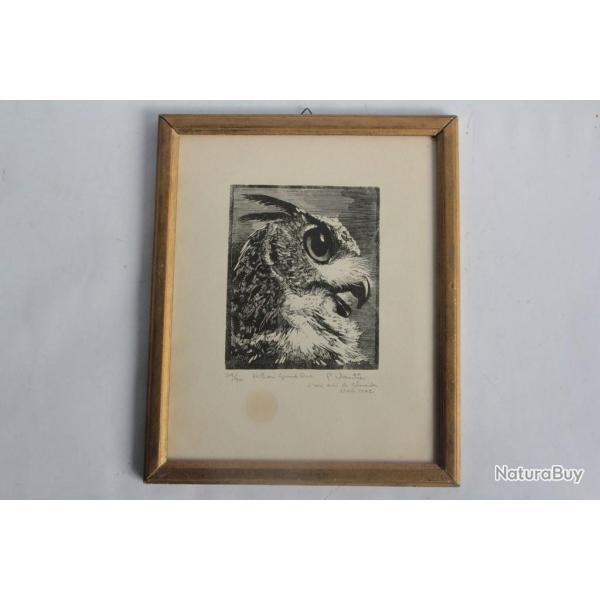 Bois grav� original P. Vautier Hibou grand duc