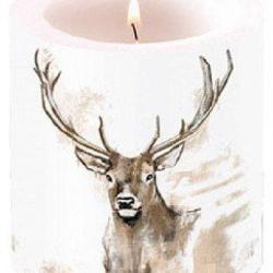 Bougie t&ecirc;te de cerf LOVERGREEN