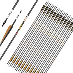 Fl&egrave;che Sanlida Dragon 8 carbone 6.2 (0.006) 300 32"