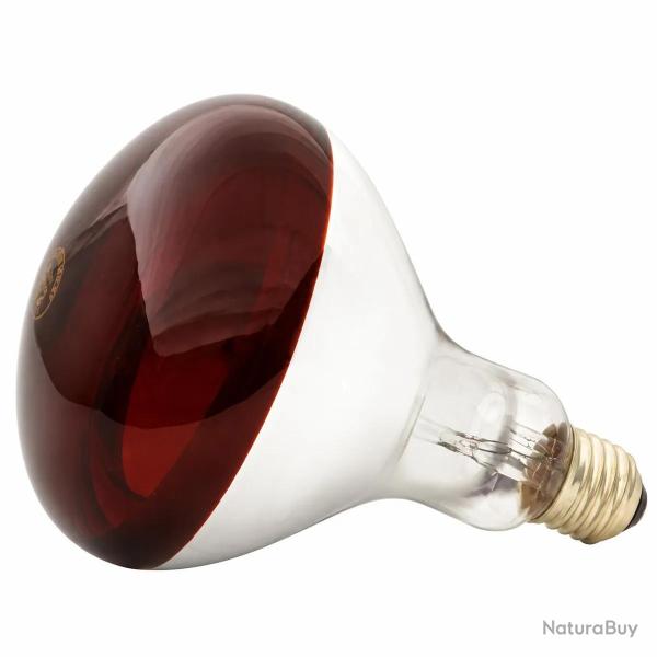 Ampoule chauffante infrarouge 150 W