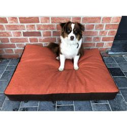Coussin chien Hunter 55 x 40 x 12 cm.