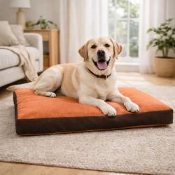 Coussin chien Hunter 55 x 40 x 12 cm.