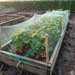 Filet de protection culture 4 x 5 m Progarden