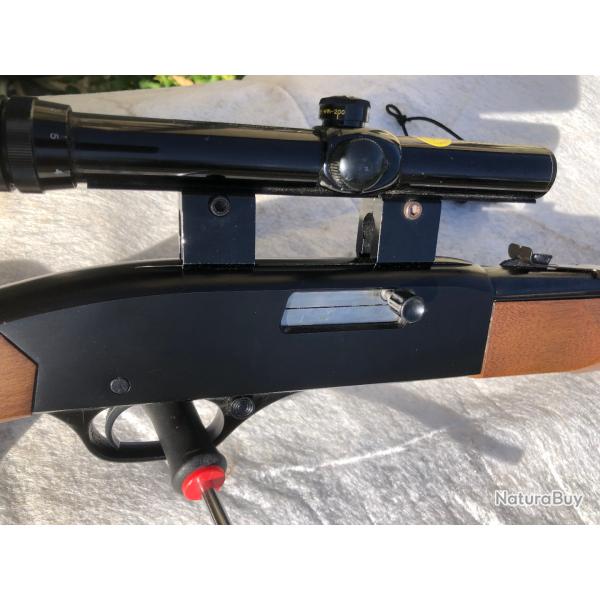 WINCHESTER 190 22LR Semi-auto (Cat B) + lunette Bushnell 3x-7x Custom 22 BDC