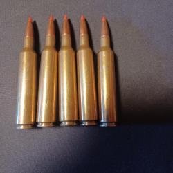 Lots de 5 balles Sologne Nosler BT 9,7 g en 7x66 Vom Hofe Super express
