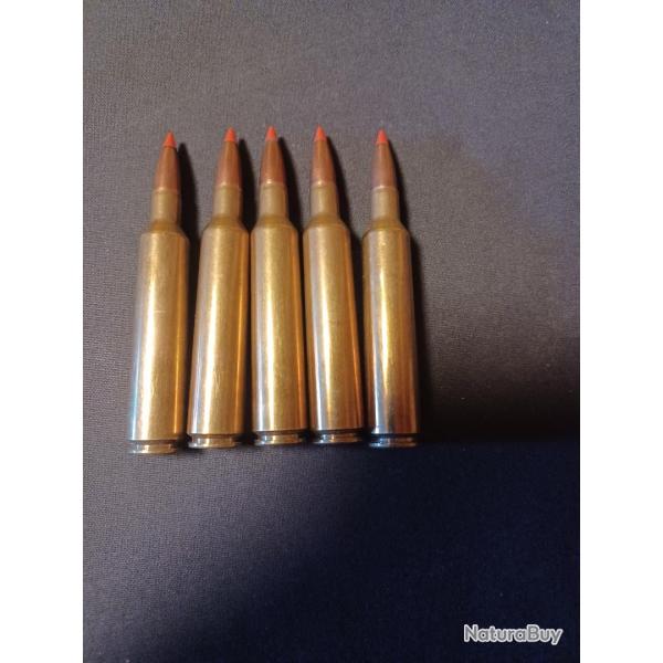 Lots de 5 balles Sologne Nosler BT 9,7 g en 7x66 Vom Hofe Super express