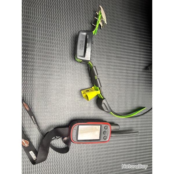 collier GPS pour chien.   garmin