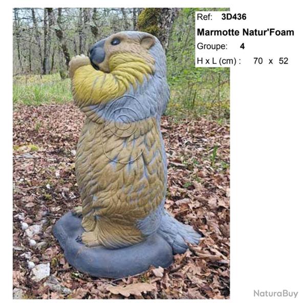 Blasons 3D - Ai2M - 436