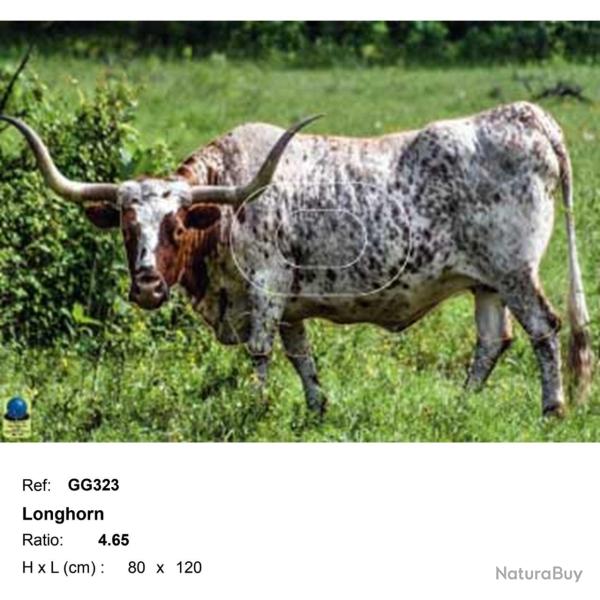 Blasons grand gibier - Ai2M - 323