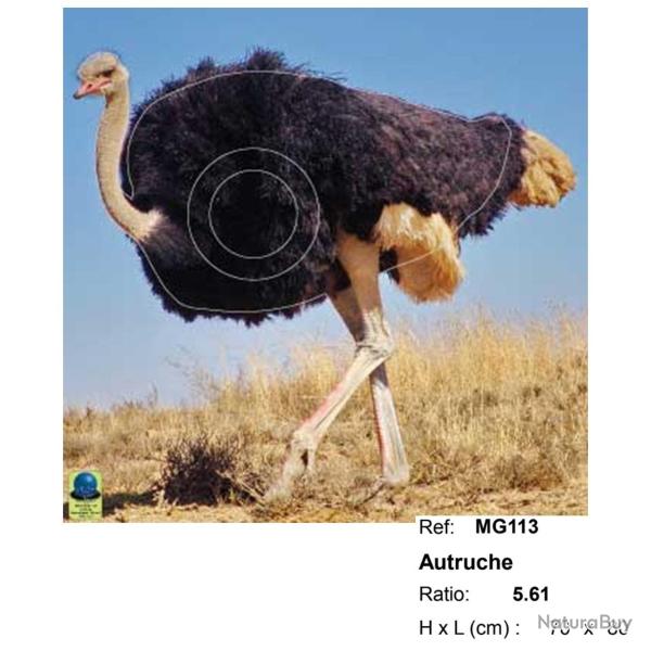 Blasons moyen gibier - Ai2M - 113