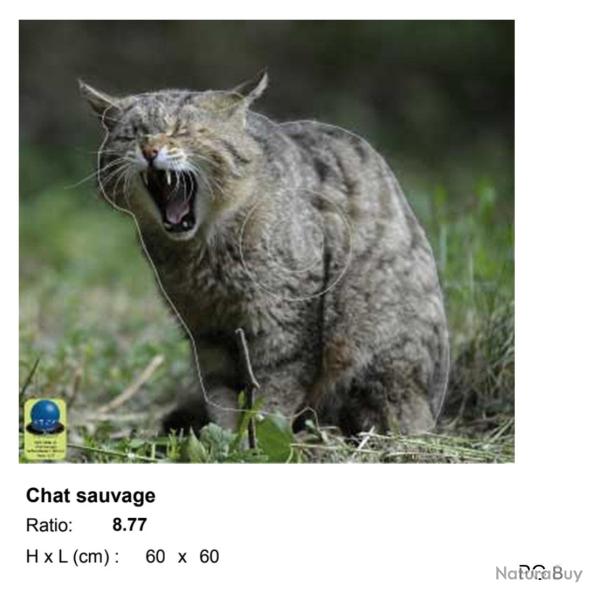 Blasons petit gibier - Ai2M - 8