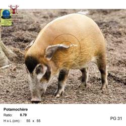 Blasons petit gibier - Ai2M - 31