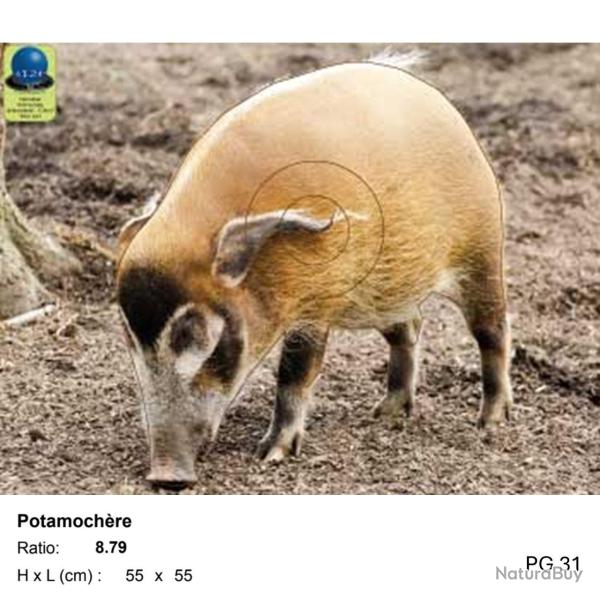 Blasons petit gibier - Ai2M - 31