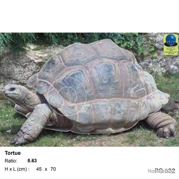 Blasons petit gibier - Ai2M - 322