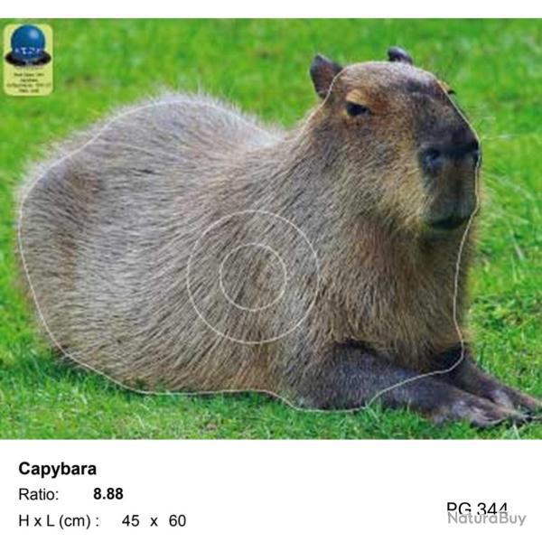 Blasons petit gibier - Ai2M - 344