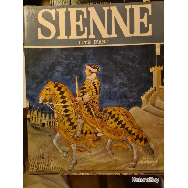 Sienne Cite d'art editons plurigraf francais