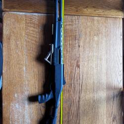 Fusils &agrave; pompe Armtac RS-X2 custom