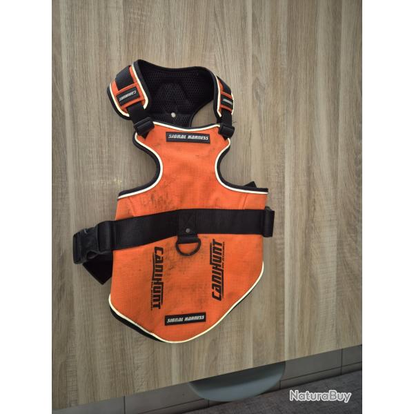 Harnais Canihunt Signal