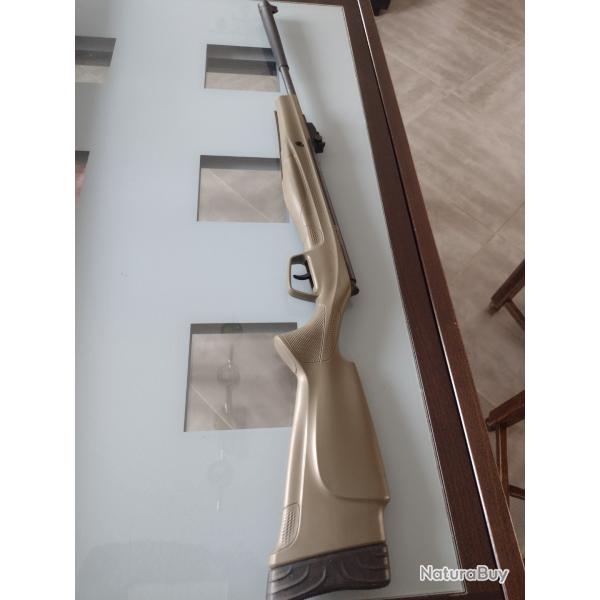 Carabine  air comprim STOEGER RX5 vert 10J