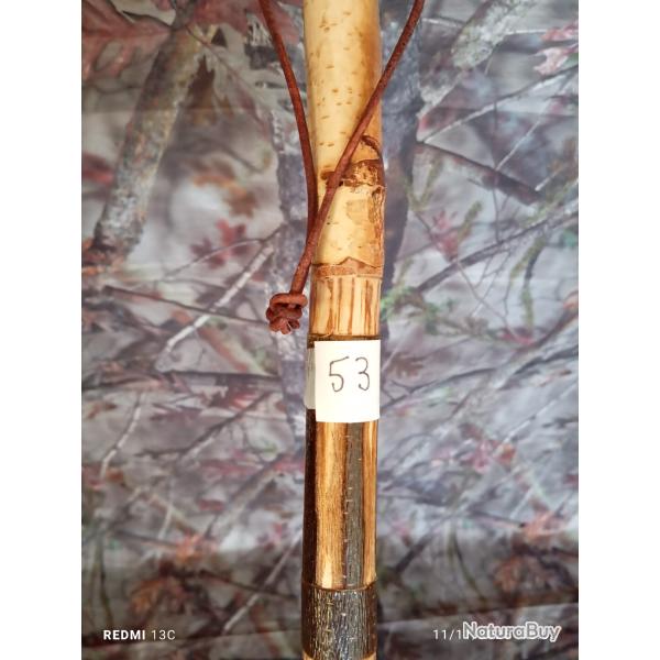 canne de pirsch (53)