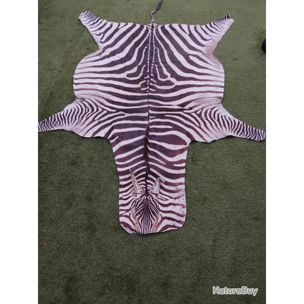 peau de zbre Congo Belge