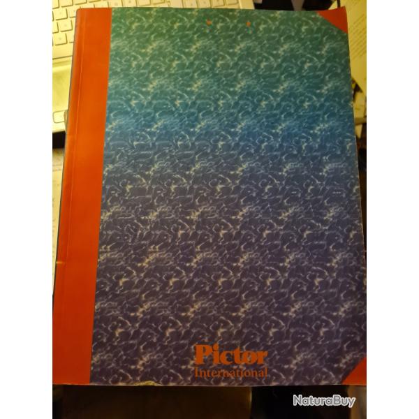 Pictor international volume 7 1 42 46 12 05